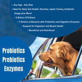 DogZymes Probiotic Daily Balance (Whey Base)