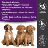 DogZymes Gestamate