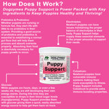 DogZymes Puppy Support
