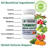 Turmeric Immune Support Capsules