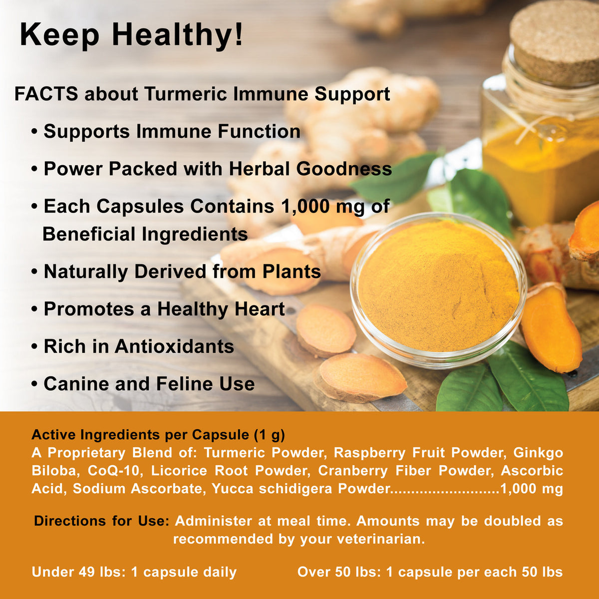 Turmeric Immune Support Capsules Copper Hollow Enterprises Inc