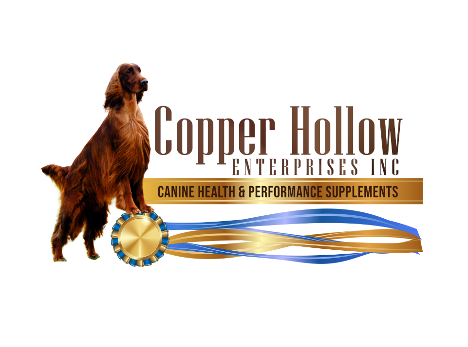 Copper Hollow Enterprises Inc
