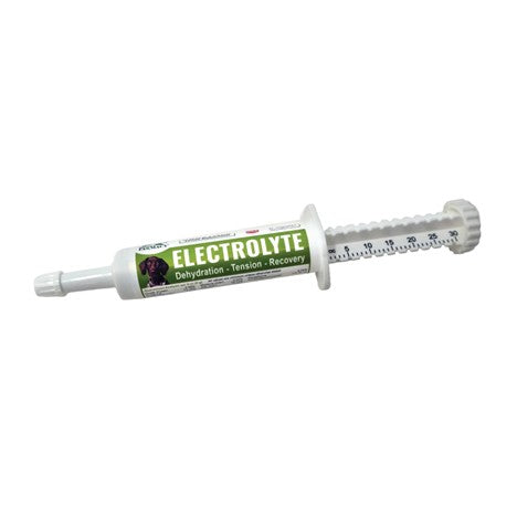 DogZymes Electrolyte Paste