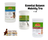Combo: Essential Balance + Mobility Trio