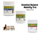 Combo: Essential Balance + Mobility Trio