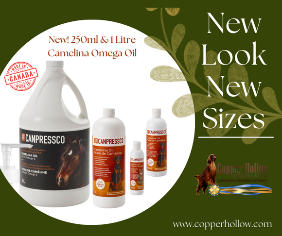 Canpressco Camelina Oil