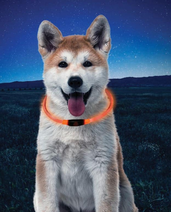NiteHowl LED Safety Glow Necklace