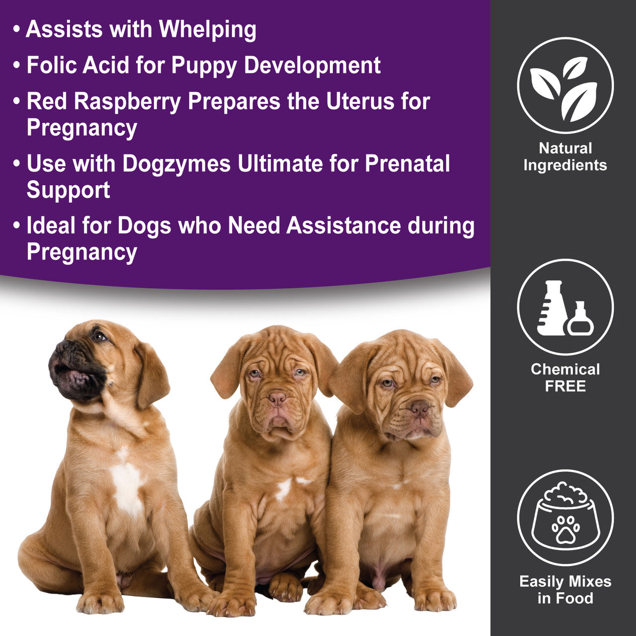 Folic acid dosage pregnant dog best sale