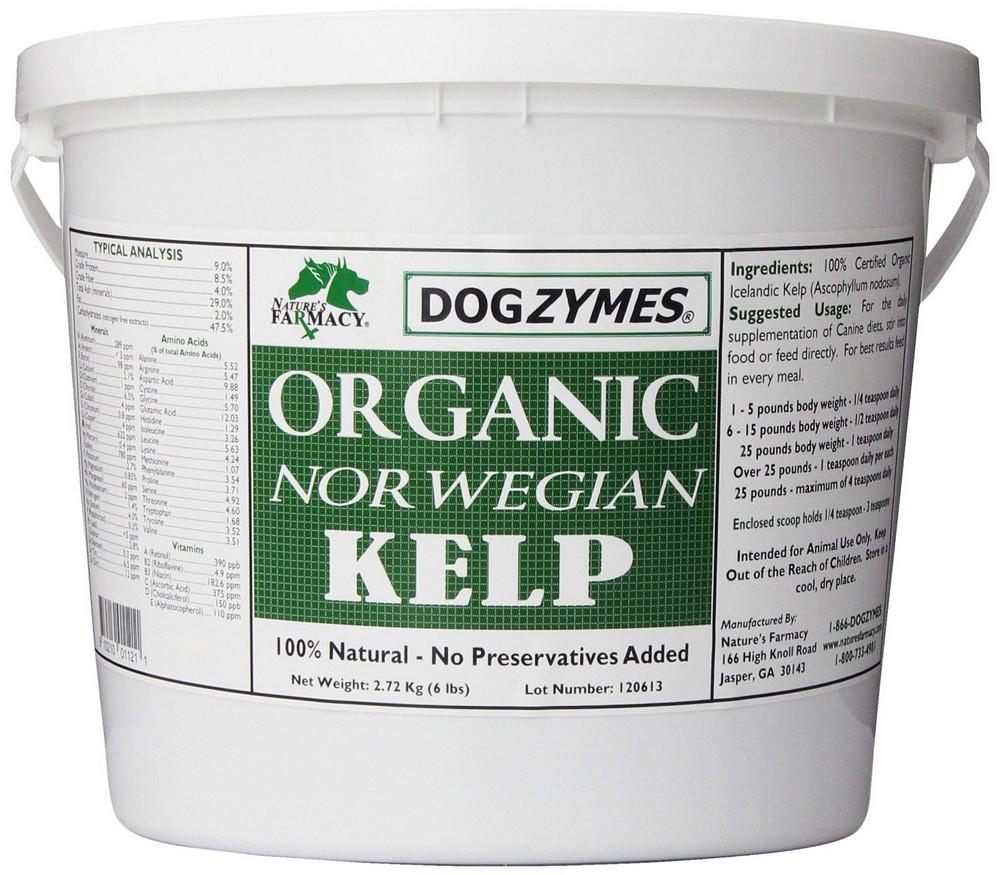 DogZymes Organic Kelp – Copper Hollow Enterprises Inc