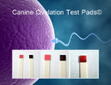 Canine LH Surge (Ovulation) Test Strips