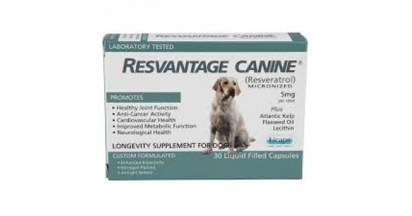Resvantage canine discount