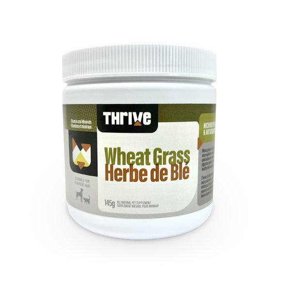 Thrive Wheat Grass